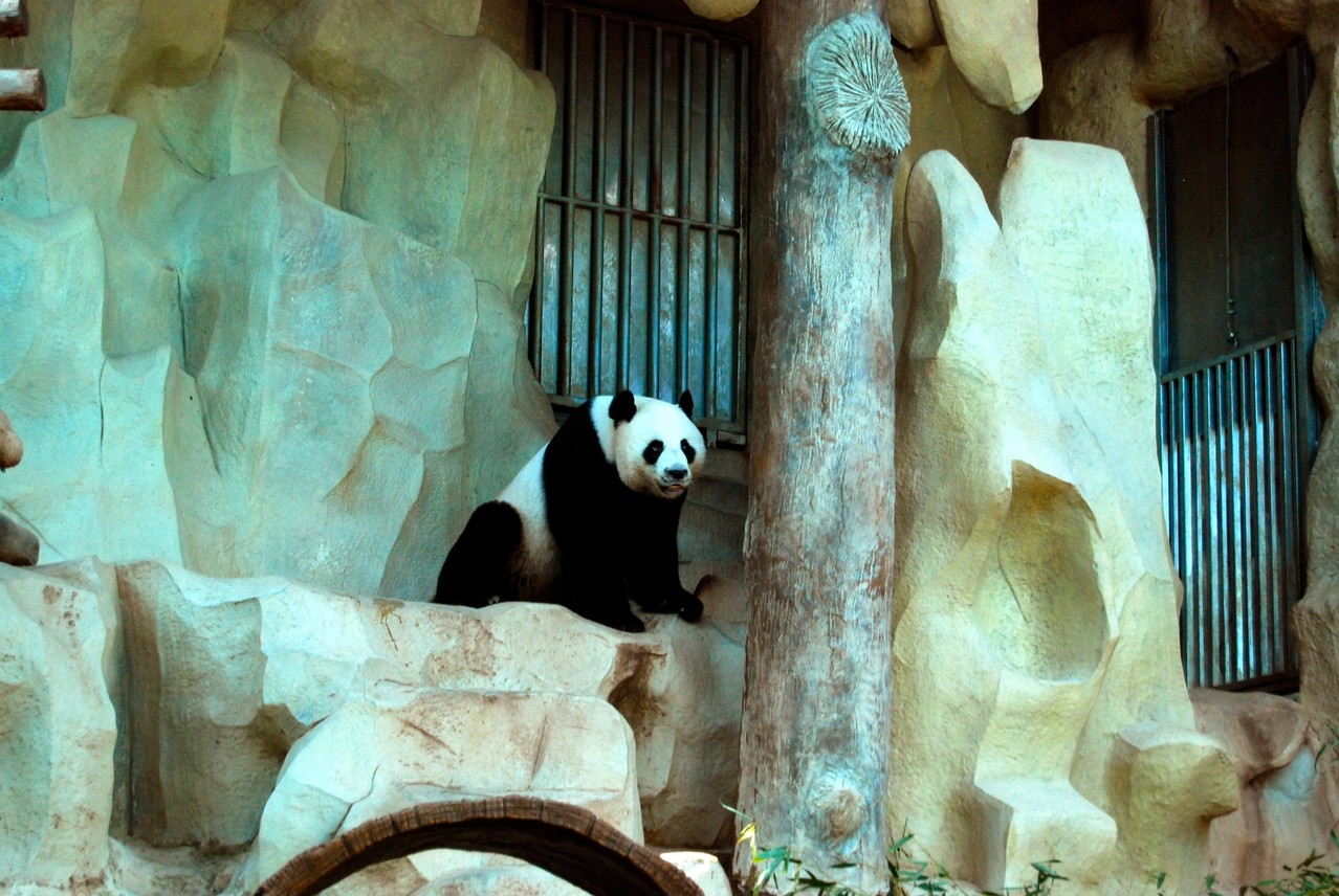 Chiang Mai Zoo