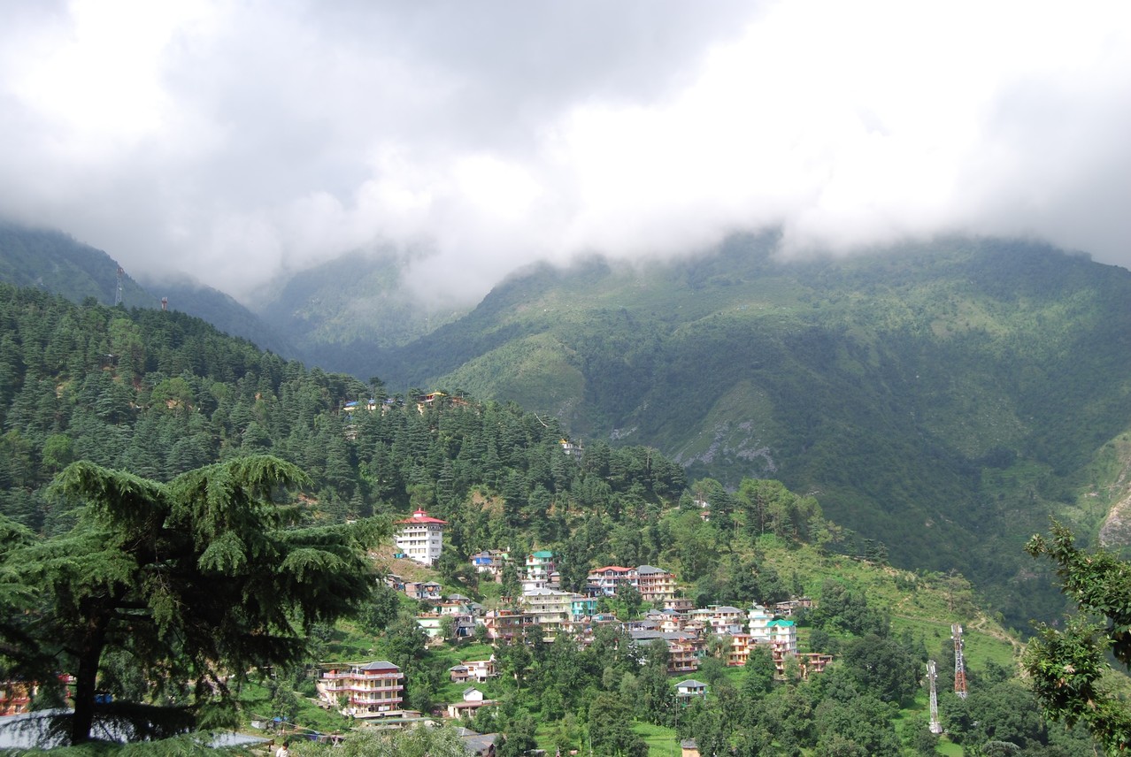 Blick nach McLeod Ganj