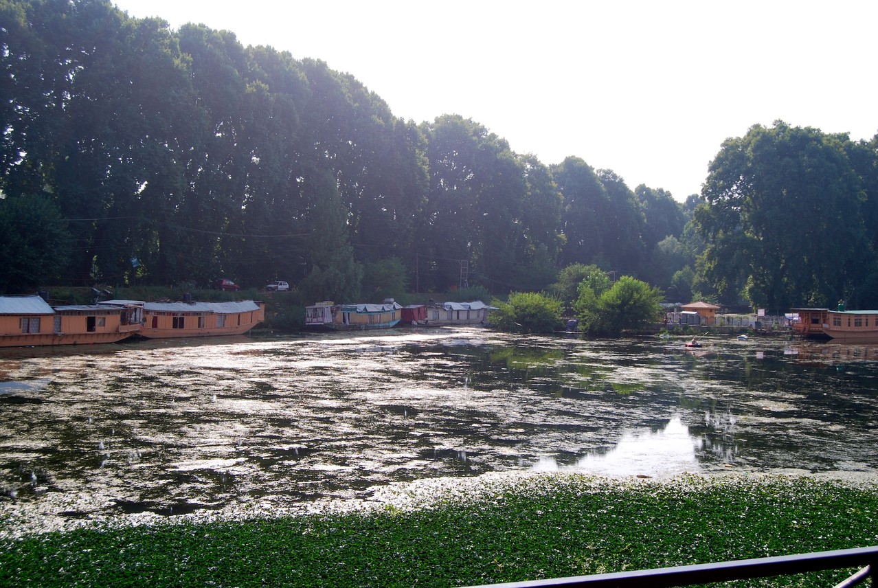 Srinagar