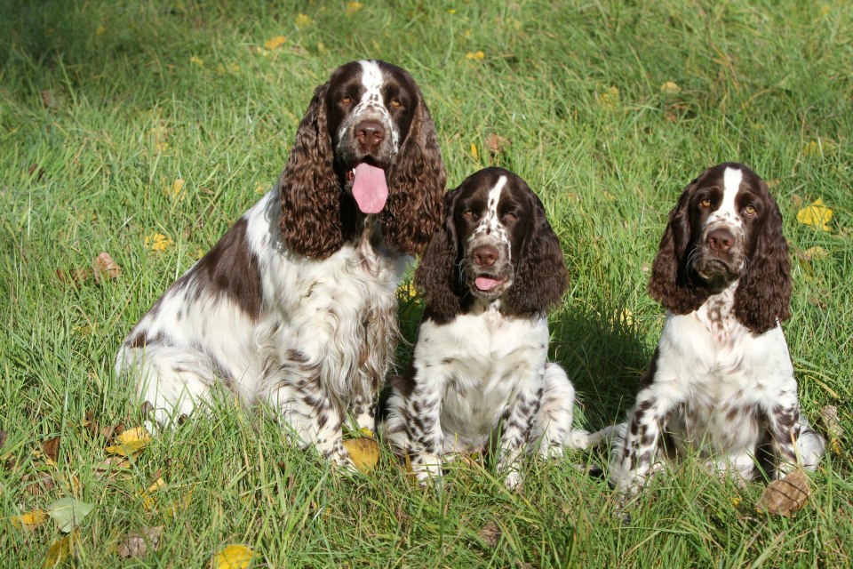 Mama Lotta, Charmin und Brüderchen