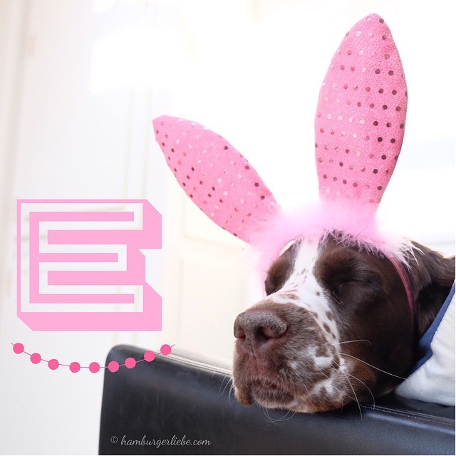 E wie Easter Bunny Edition (sleepy one)