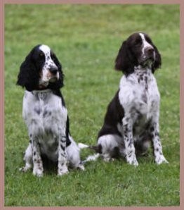 Die beiden Geschwister: Josephine & Trudi