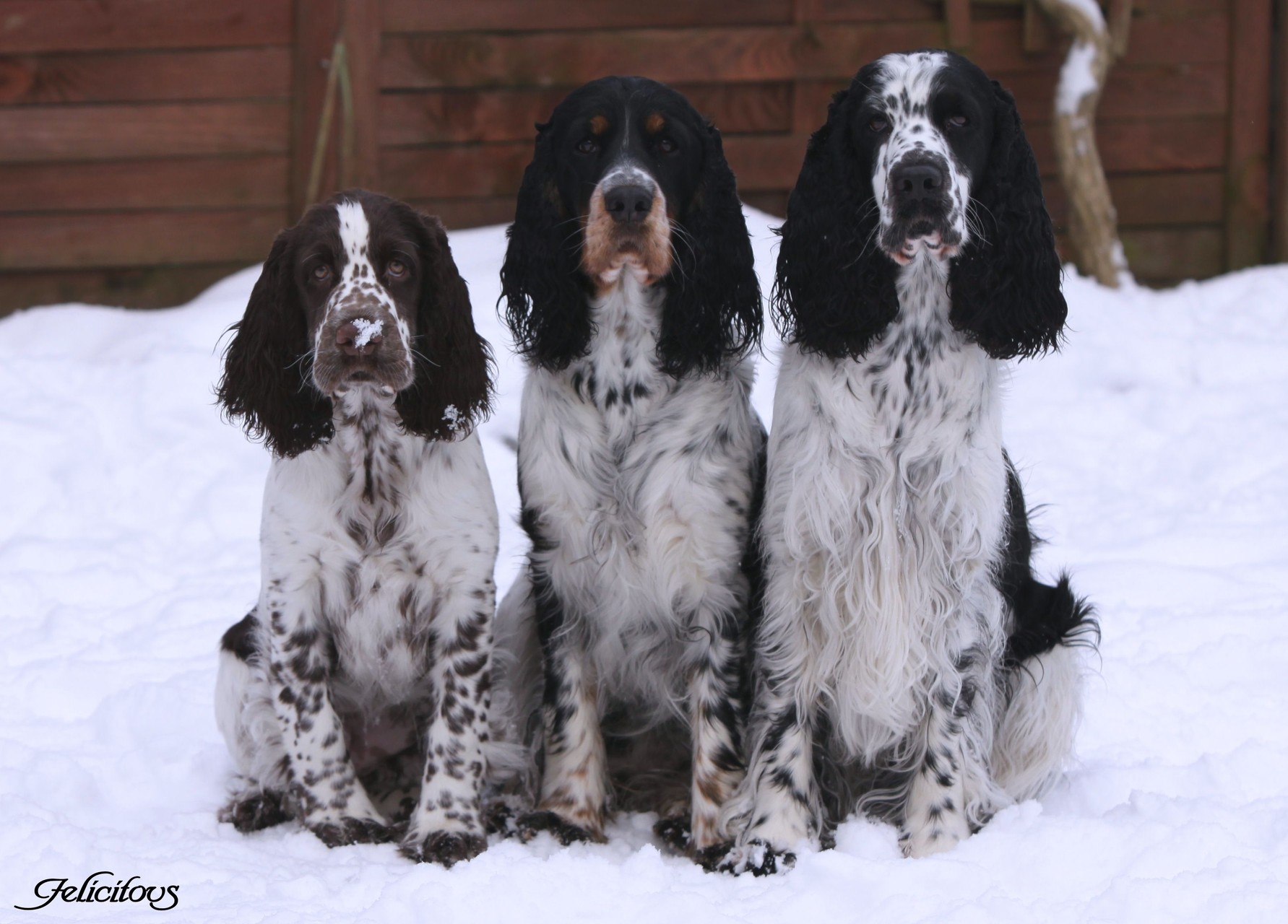 Lotta als Youngster, Mathilde & Luise