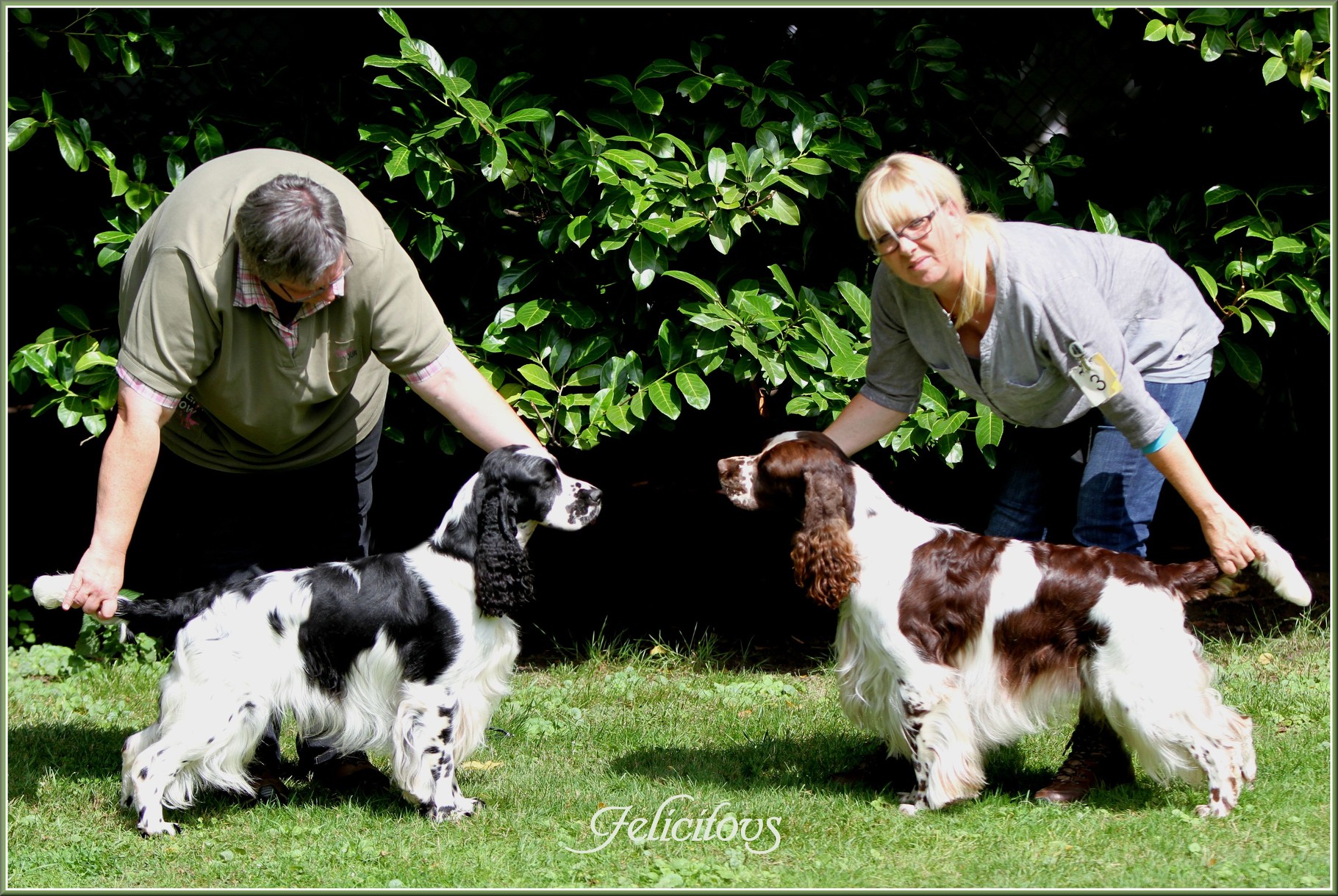 Dexbenella Sirius Black "Milo" & Felicitous Clooney