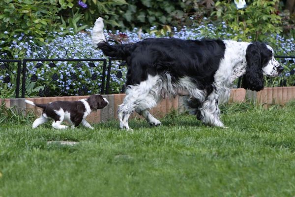 Ernie und sein Fastfood :o)))