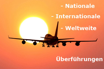 weltweite Überführung