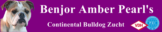 https://www.continental-bulldog-ranch.de/