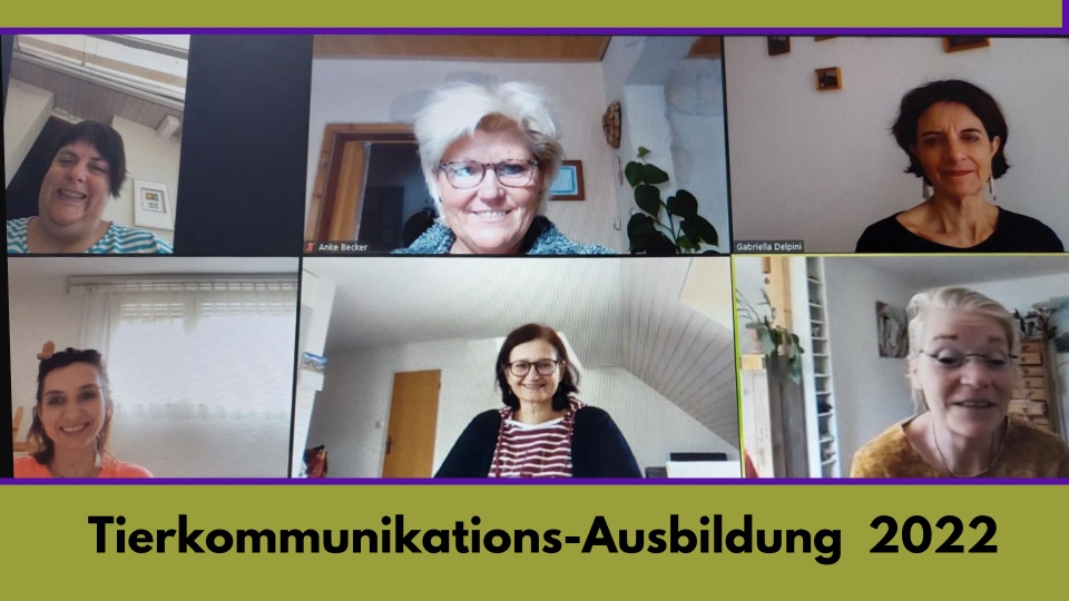 Abschluss Klasse online Tierkommunikations Ausbildung im Spirit Meeting, Sabrina Wunderli 2022 