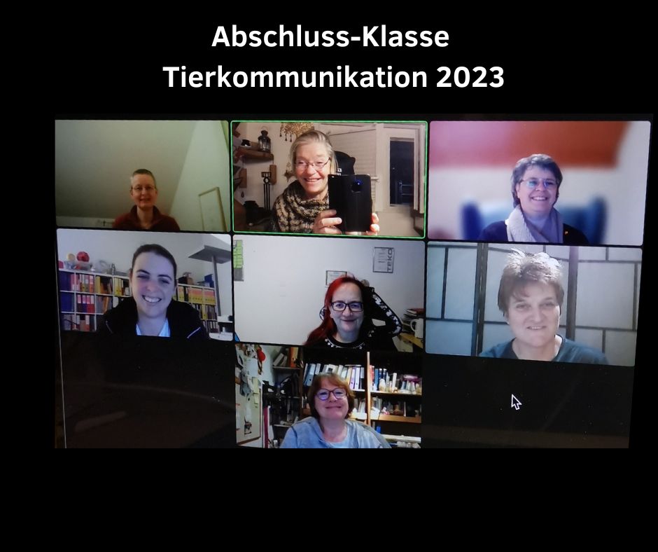 Tierkommunikations Diplomausbildung online mit Zoom 