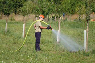 Helfer in der (Wasser-)Not: die  Büttelborner Feuerwehr (Foto: NABU Büttelborn [bo])