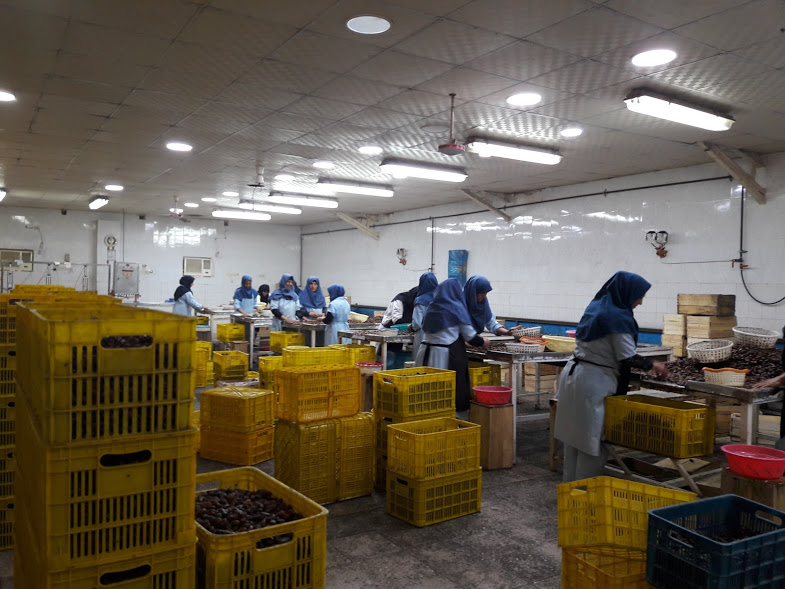 Initial Sorting at Factory