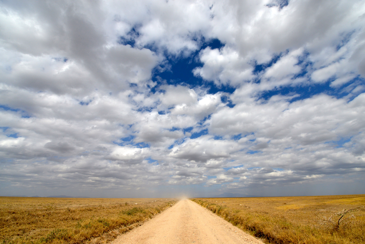 Der Weg (Serengeti, Tansania, 2014)