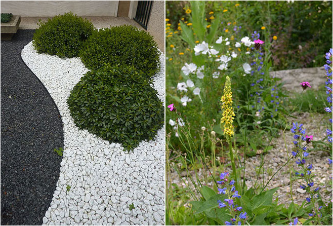 Artentreicher Kiesgarten (links) und Schottergarten (rechts) - Fotos: Paula Polak (re), Iris Barthel (li)