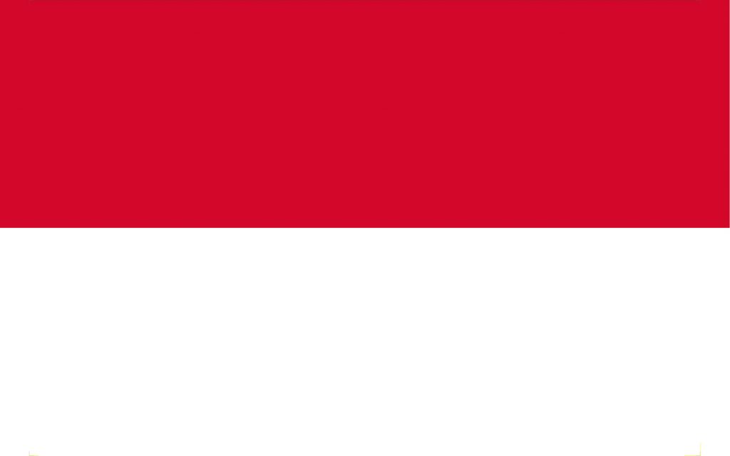 Ficha país Indonesia 2022