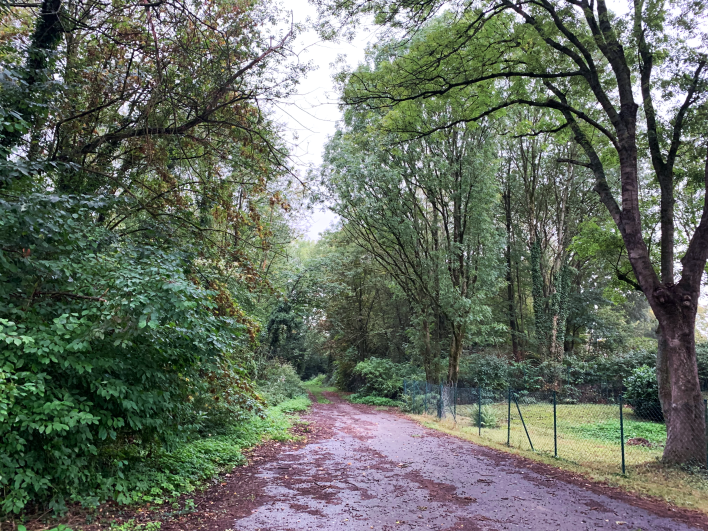 Der Weg nach Unterhöscheid über den Künstlergarten, September 2020