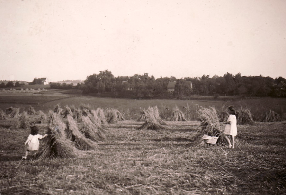 Der Ausblick aus dem Schwarzen Haus Richtung Mittelhöscheid, Sommer 1939