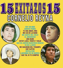 1991 15 Exitazos