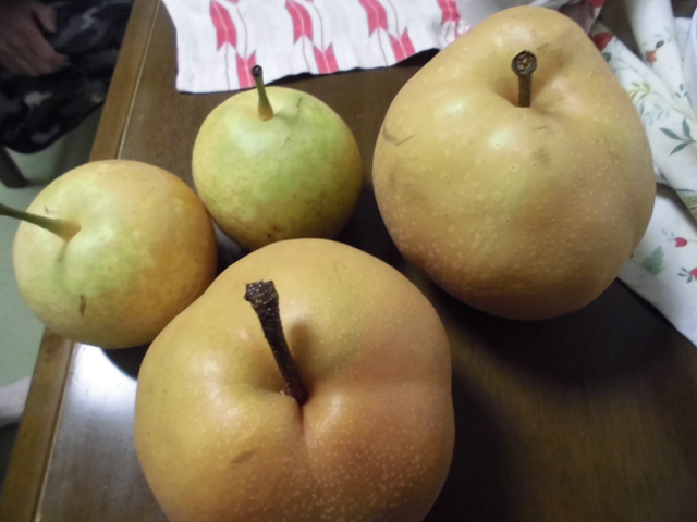 Pears