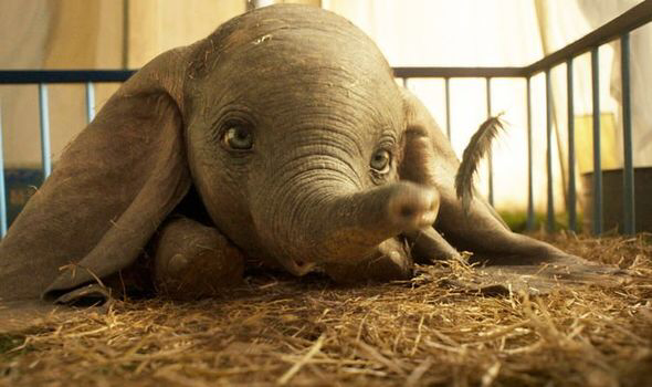 Dumbo