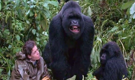 Sigourney Weaver in Gorillas in the Mist