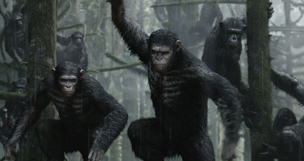 Dawn of the Planet of the Apes