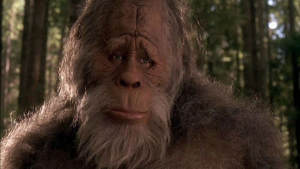 Kevin Peter Hall in Harry & The Hendersons