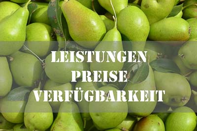 Leistungen Ferienwohnungen Chiemsee