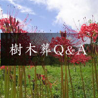 樹木葬の寺 天徳寺 樹木葬Q&A