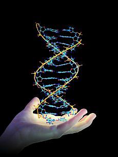 Doppia elica DNA