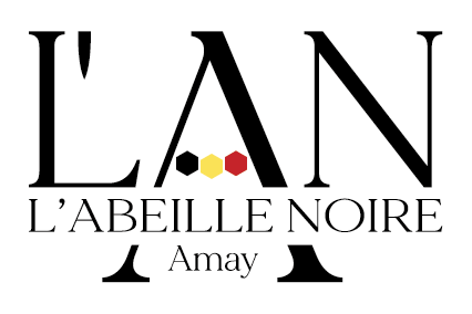 Logo L'abeille Noire avec 3 alvéoles aux couleurs du drapeau belge