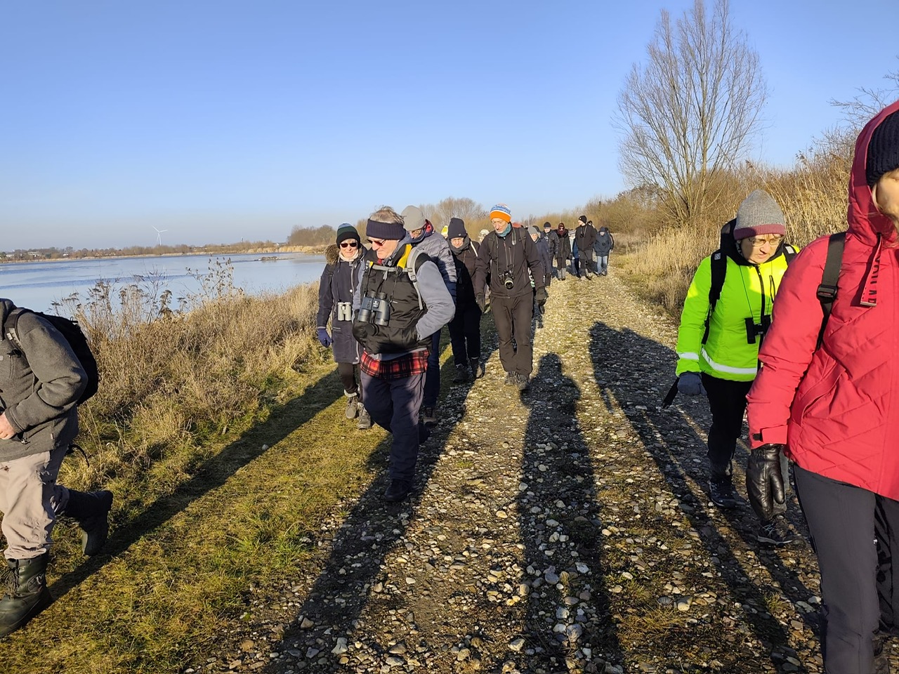 Am Ostrand des Sees; Foto: Katrin Thiemer