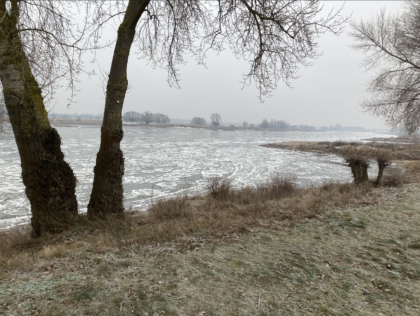 Treibeisschollen auf der Elbe (in der Vorwoche); Foto: Michael Wetzel