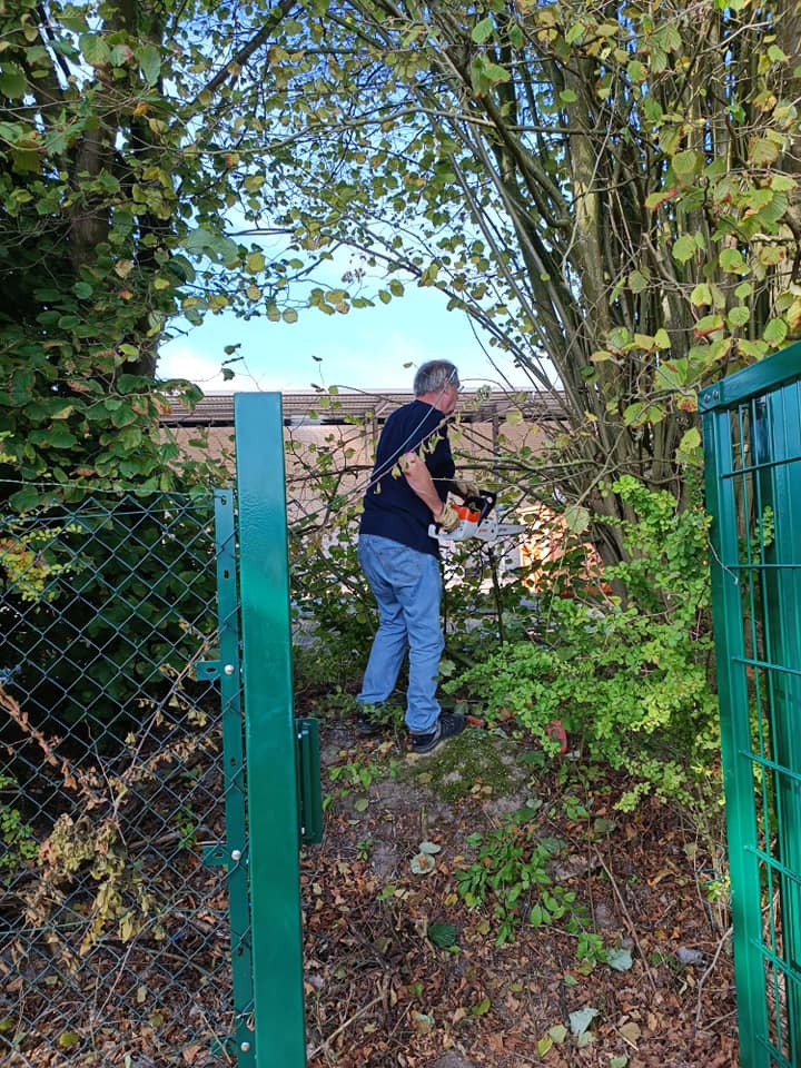 Rückschnitt einer Hecke