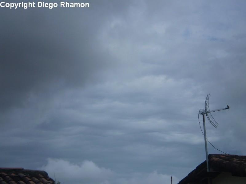 Undulatus asperatus vistas em João Pessoa, Paraíba, em 20/01/2011.