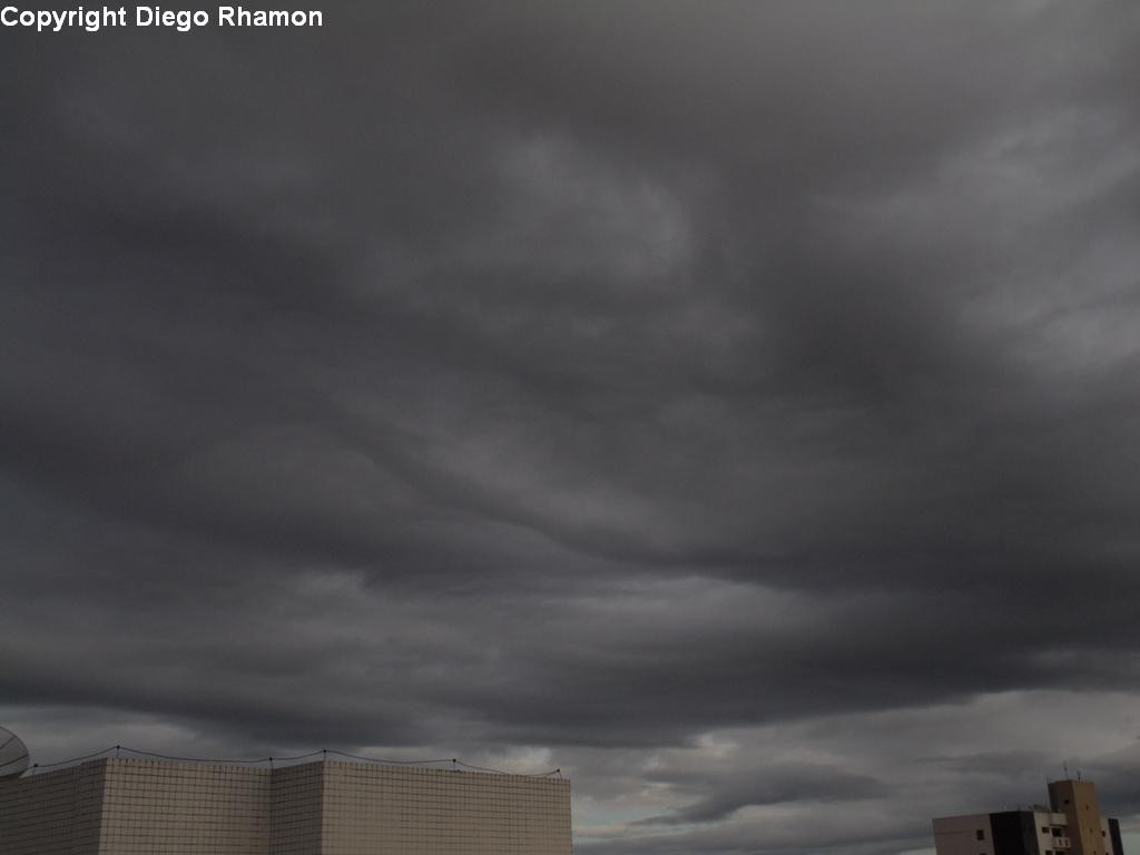 Undulatus asperatus vistas em Campina Grande, Paraíba, em 11/06/2014.