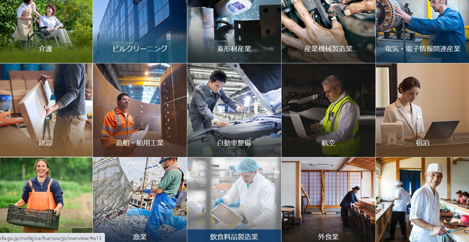 特定技能2号について
