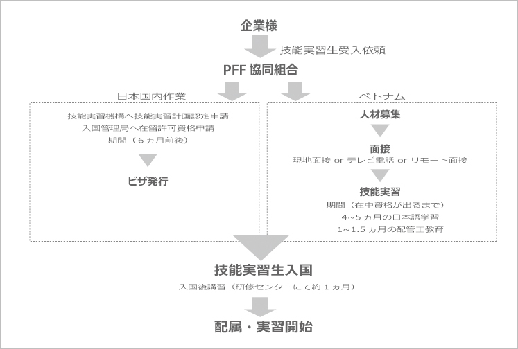 PFF協同組合への申込みから配属・実習までの流れ