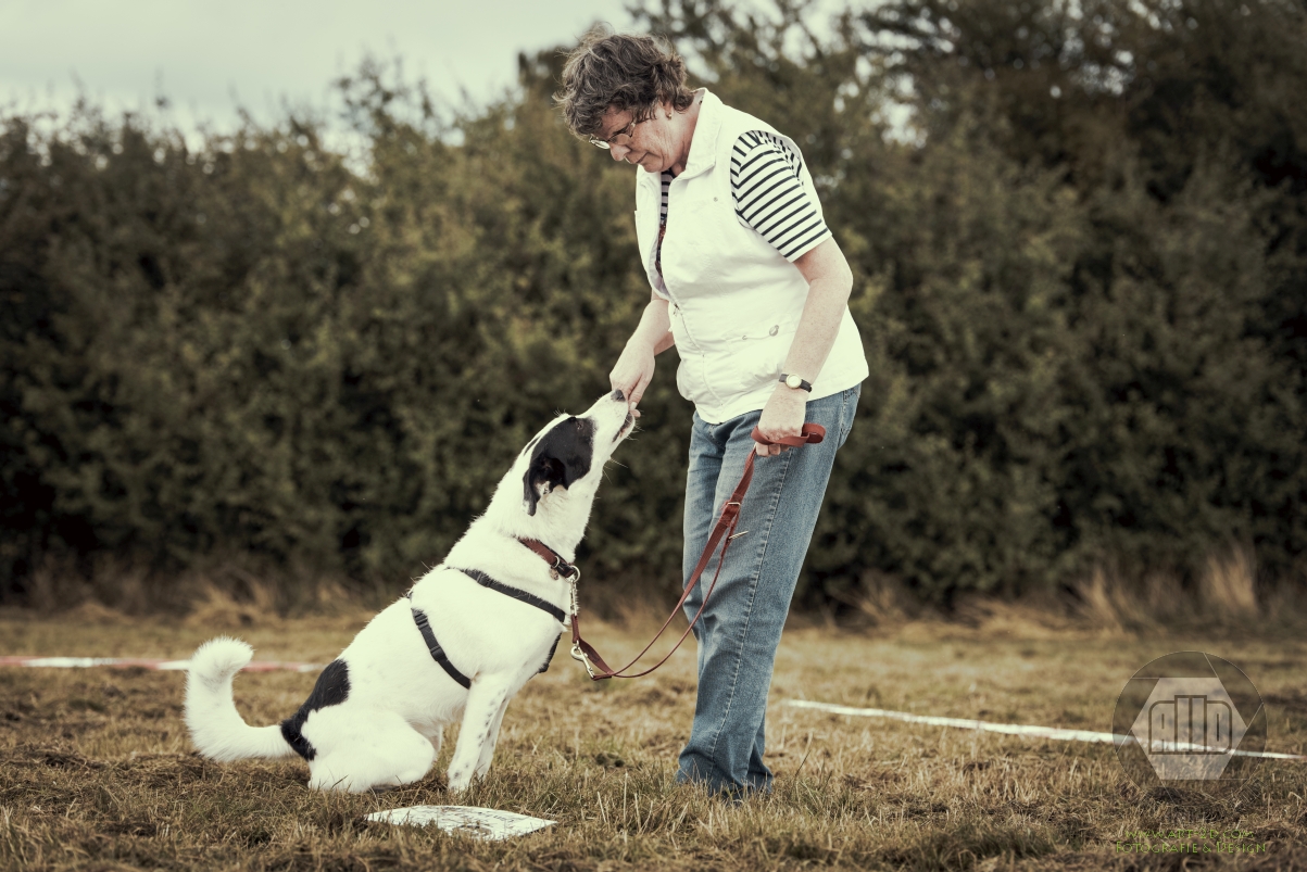 Rally Obedience Hundeschule Trickdog Düren