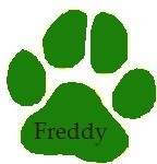 Freddy