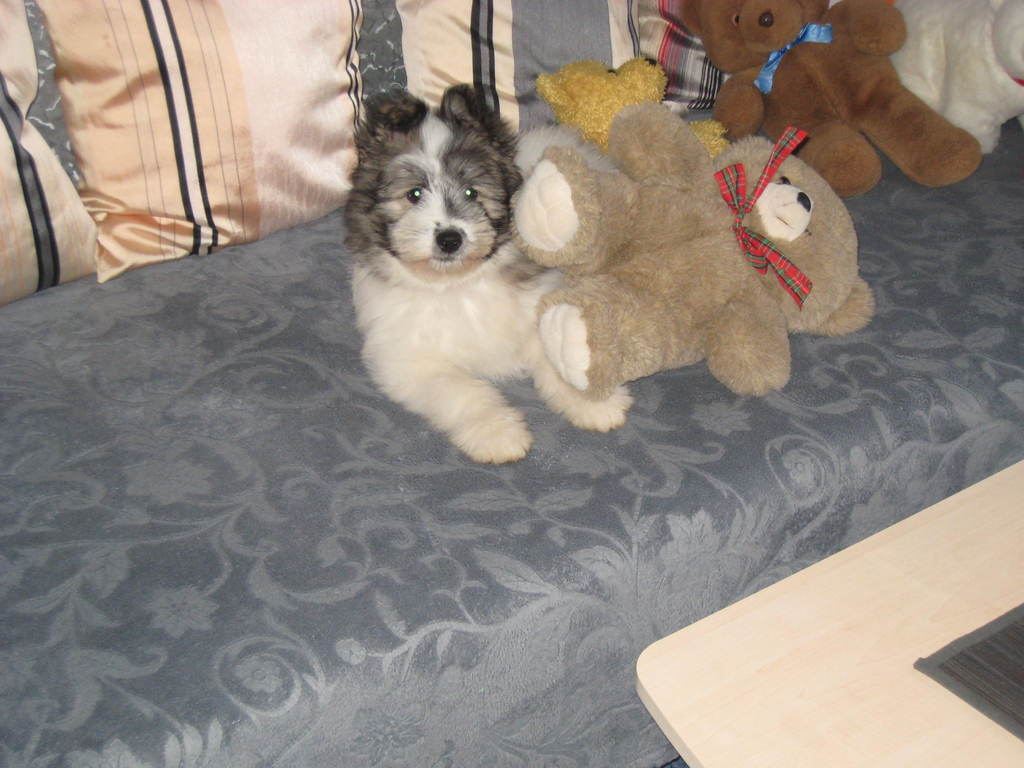Kuscheln
