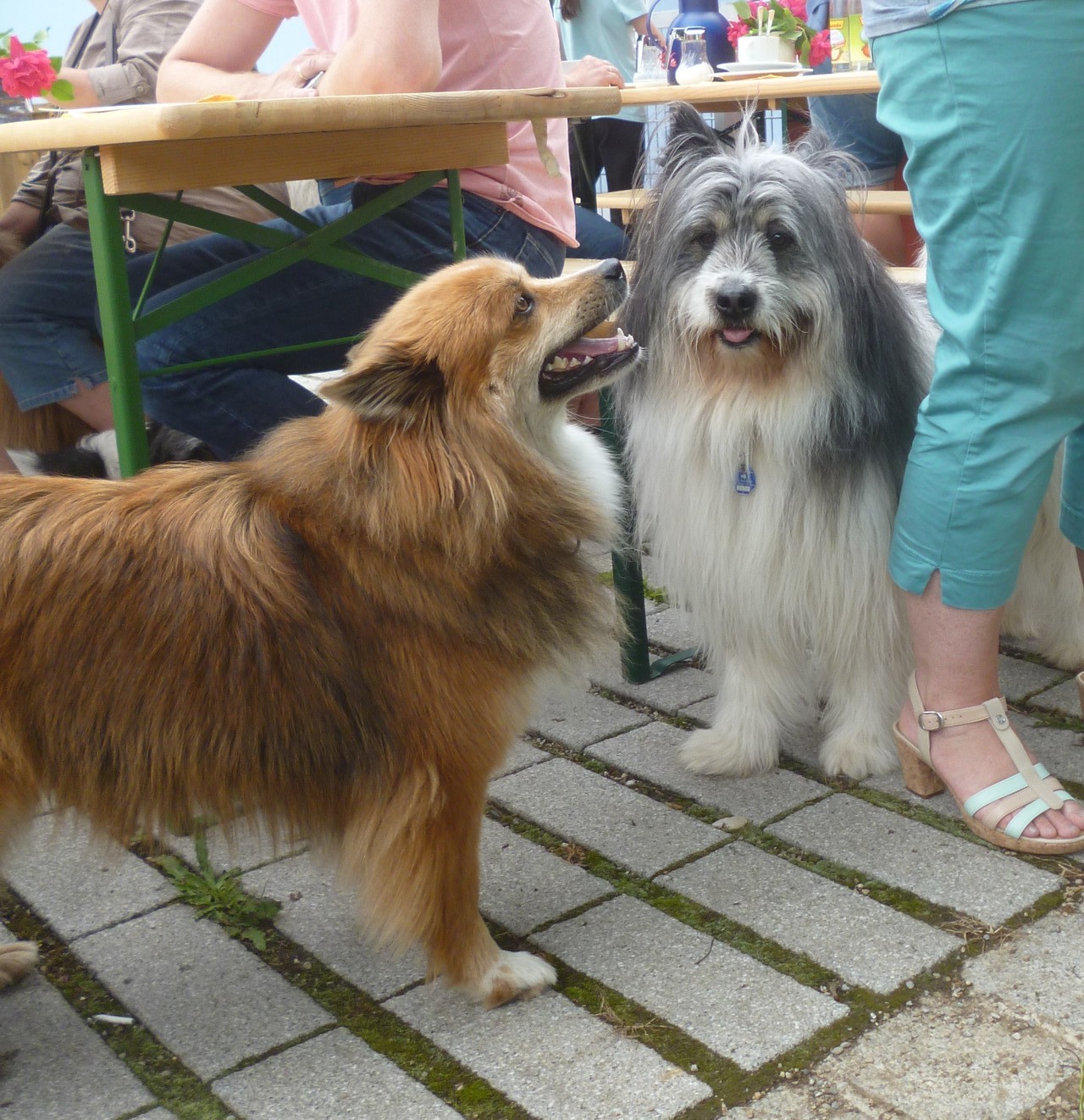 Amy und Enzo