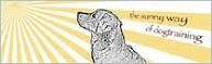 individuelles Hundetraining