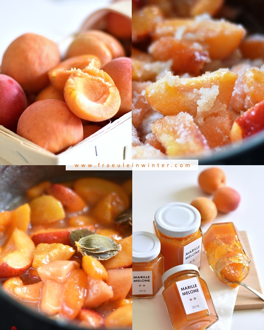 Marillenmarmelade selber machen | Fräulein Winter