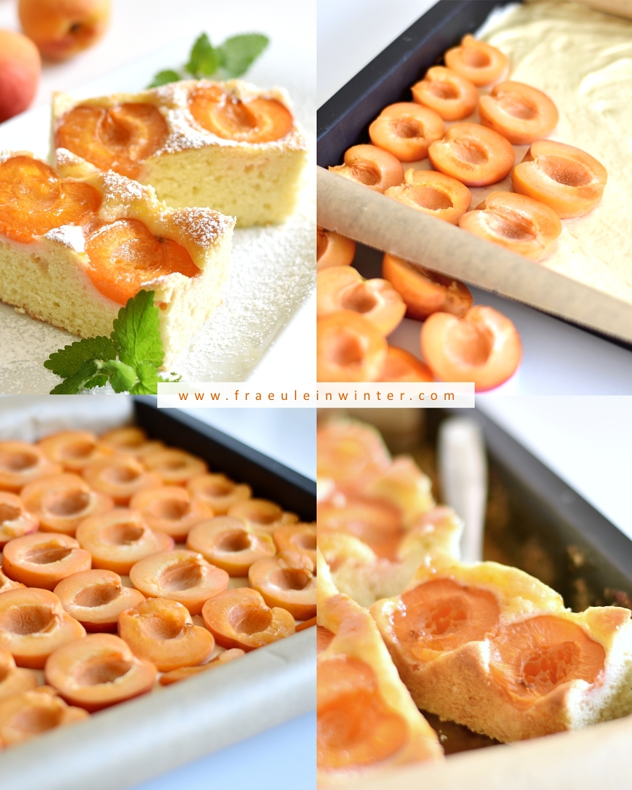 Marillenkuchen | Fräulein Winter