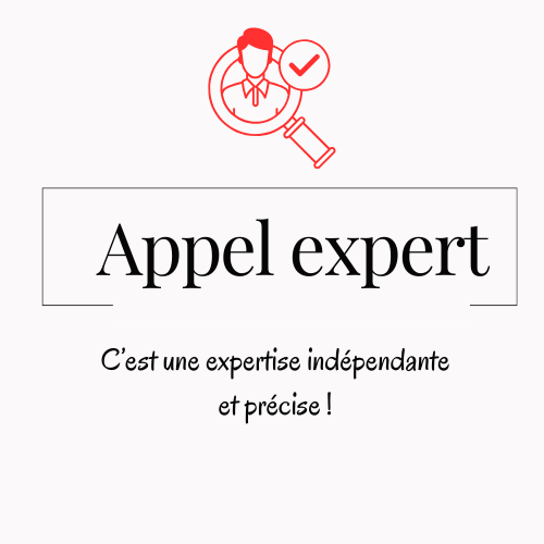 POURQUOI FAIRE APPEL A UN EXPERT IMMOBILIER ?