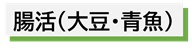 腸活