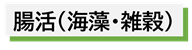 腸活