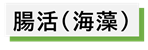 腸活