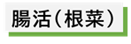 腸活