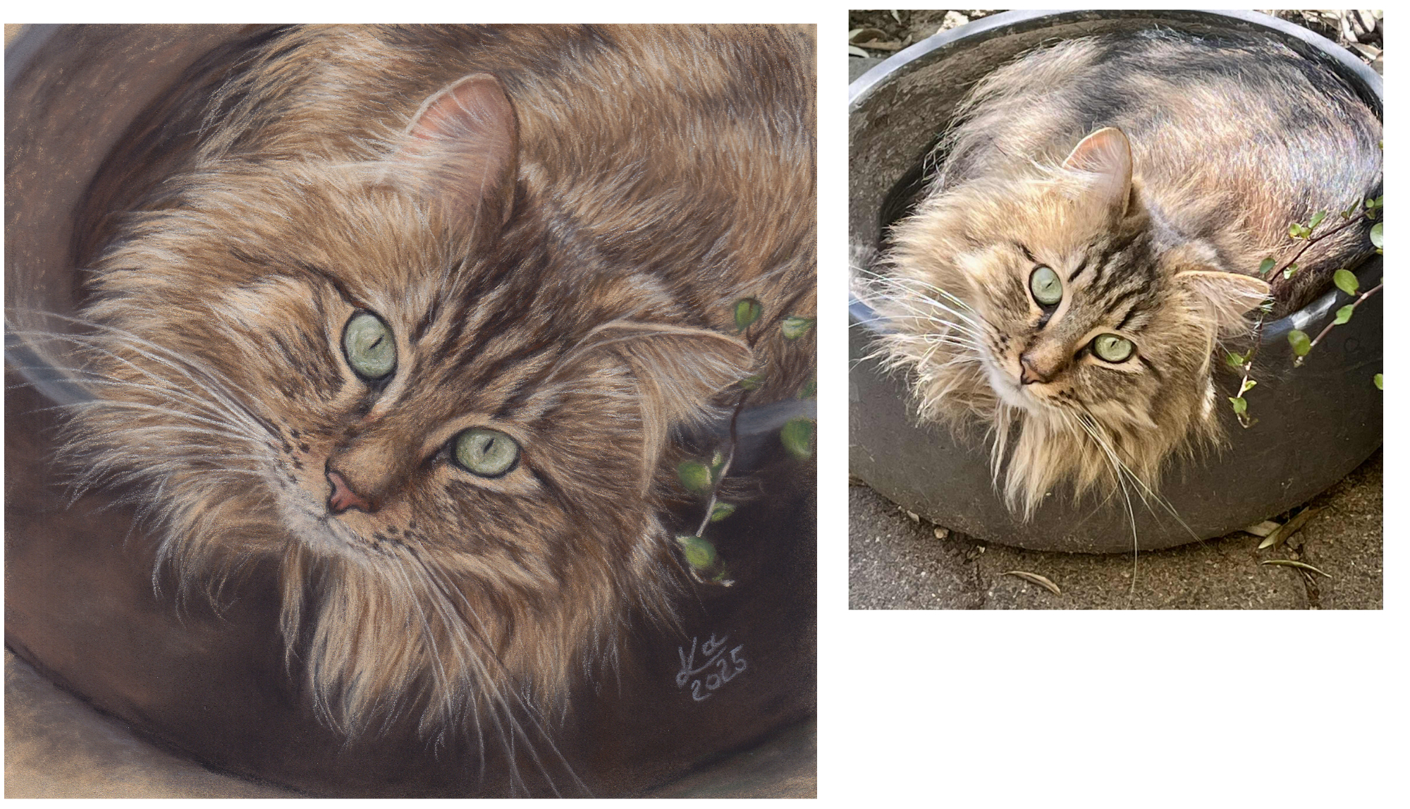 Finn, 17 x 16 cm, Pastellzeichnung